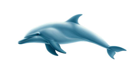 Majestic dolphin showcases playful jump in the ocean's azure embrace dolphin