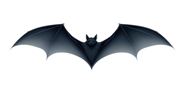 Bat in flight against checkered background, a captivating wildlife photography scene