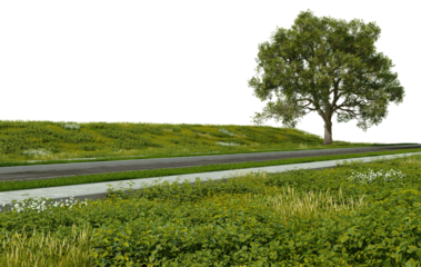 3d render road in meadow and big tree on transparent background