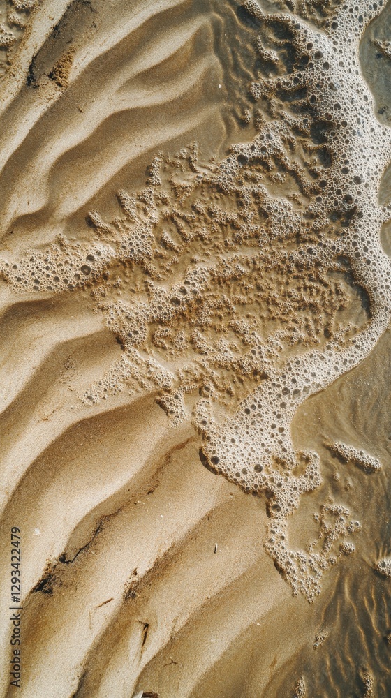 Poster serene beach patterns with gentle waves and soft sand textures