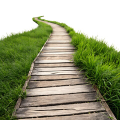  wooden walkway in grass lawn png