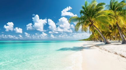 Tropical palm trees leaning over a tranquil beach with crystal-clear waters