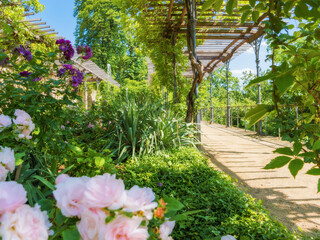 City Garden, Terrace Garden of Wernigerode Castle with a promenade and blooming roses. Cultural attractions of Germany.