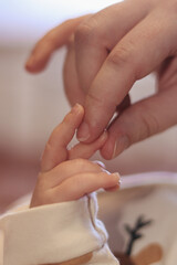 touch between an adult hand and a small one. concept of love and connection between parents and child. trust and security of the baby. close-up photo. High quality photo