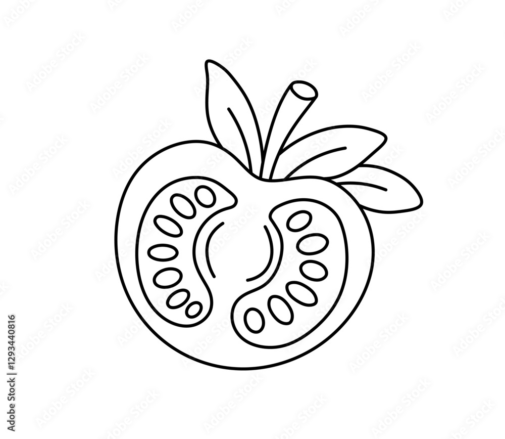 Poster vector isolated simple minimal half a tomato colorless black and white contour line easy drawing
