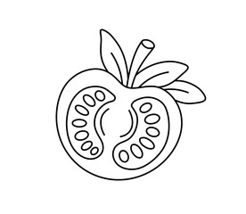 Vector isolated simple minimal half a tomato colorless black and white contour line easy drawing
