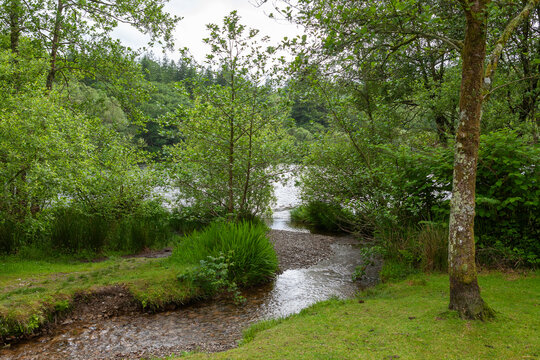 The beautiful little lake of Llyn Mair (Mary's Lake), Coed Llyn y Garnedd, Gwynedd, Wales