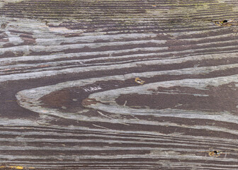 The board is painted orange, close-up. Wood texture. Natural wood background. Old wooden panel,...