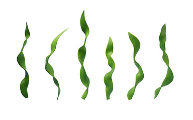 Fototapeta premium Green seagrass with cartoon style, 3d rendering.