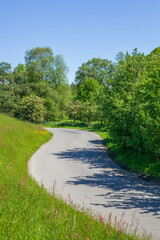 Straße auf dem Land mit Deich im Grünen, Buxtehude, Niedersachsen, Deutschland