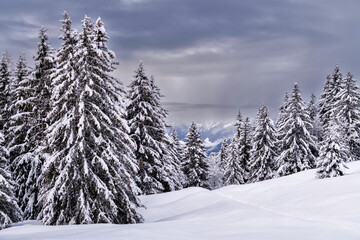 Landscape of italian alps in winter sunset, Orobie alps in Bergamo province in Lombardy district, Italy, Europe.