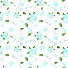 Spring vector pattern. Luxurious minimalist pattern with apple blossom flowers in botanical style, organic shapes. Vector background for banner, poster, website and packaging