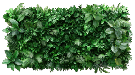 A dense green plant wall panel with a vibrant, fresh look, perfect for interior decor, eco-friendly themes, or background designs. 