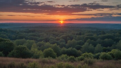 Serene Sunset Over Lush Forest Landscape With Space for Text and Natural Beauty in the Background