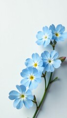Forget-me-nots in soft pastel hues blooming on a pristine white surface, gentle hue, simple elegance, forget me nots white surface blue flowers