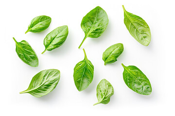 Top view Fresh green basil isolated on white background, Generative AI Illusrta tion