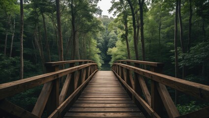Fototapeta premium Serene Wooden Bridge Pathway Through Lush Green Wilderness Surrounded By Tall Trees and Tranquil Nature
