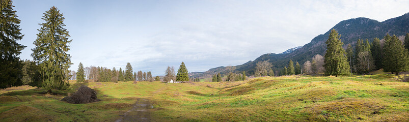 Naklejka premium hilly landscape panorama of Buckelwiesen near Ohlstadt, upper bavaria. hummocky meadow in february