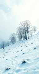 Fototapeta premium Winter scenery of a snowy hill with bare trees , landscape, tree, frost