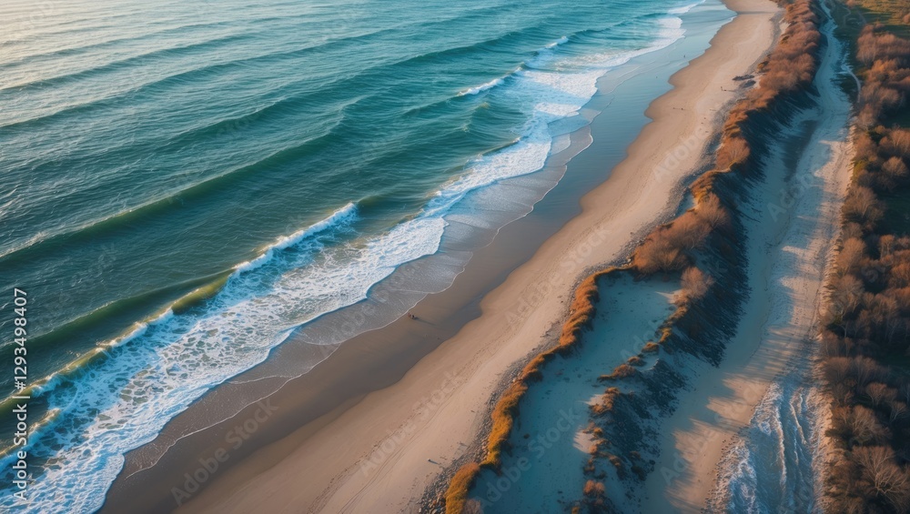 Poster spring dawn aerial view of serene seashore with gentle waves and sandy beach tracing the coastline