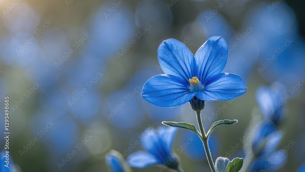 Poster vibrant blue flower against bokeh background with soft lighting and delicate petals emphasizing natu