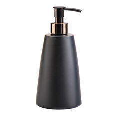 Obraz premium Sleek Black Soap Dispenser with Gold Accent