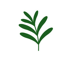 Green elegant foliage illustration graphic art
