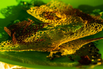 Green chips with spider web or tuile to decorate dishes. Background with edible lace texture.
