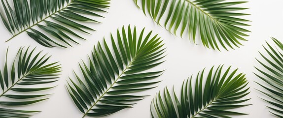 Lush Green Palm Leaves Isolated on White Background Ideal for Summer Themes and Text Placement with Ample Copy Space for Creativity
