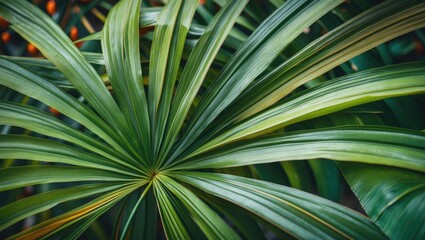 Tropical Palm Leaf Close Up Lush Green Texture Natural Background for Botanical and Design Use
