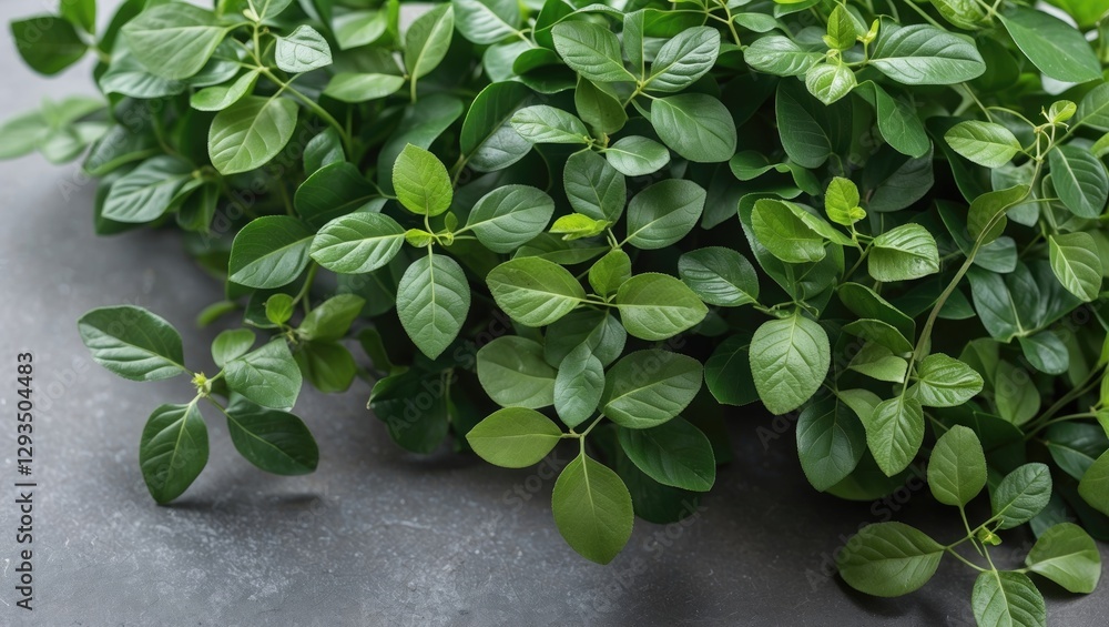 Poster fresh small green leaves creating a vibrant natural look on a textured surface for botanical and wel