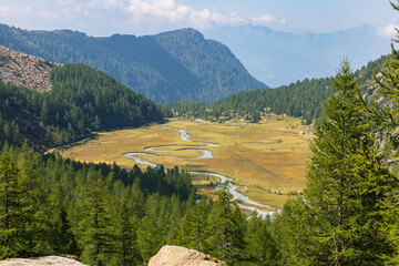 Piana di Predarossa, Val Masino