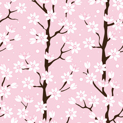 Magnolia or cherry blossom flowers on pink. Romantic spring background. Vector illustration.