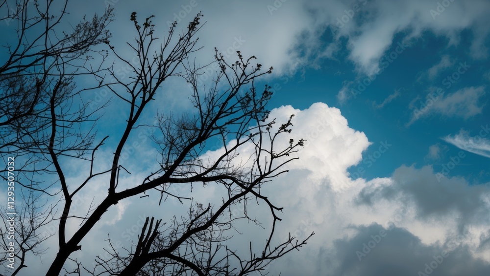 Aufkleber silhouette of barren tree branches against a dramatic sky with clouds and blue background creating a moody atmospheric scene