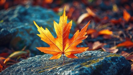Vibrant autumn leaf resting on a textured rock surrounded by blurred fall foliage in a serene natural setting.