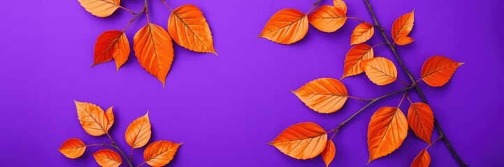 Obraz premium Violet background with orange metallic leaves, dried flowers, violet background
