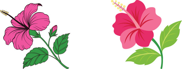 Pink Hibiscus flower vector set. Set of Hibiscus flower colorful vector.