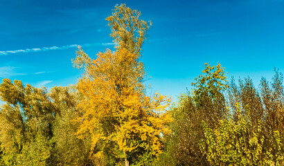 Autumn or indian summer view near Landau an der Isar, Dingolfing-Landau, Bavaria, Germany