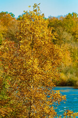 Naklejka premium Autumn or indian summer view near Landau an der Isar, Dingolfing-Landau, Bavaria, Germany