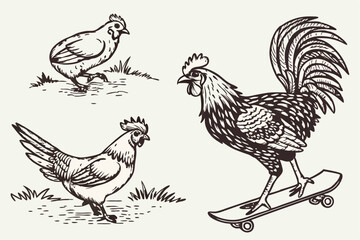92 Vintage engraved chicken illustrations, quirky farm animals, black and white sketches, whimsical poultry poses, detailed feather textures, humorous bird activities, skateboarding hen, pecking chick