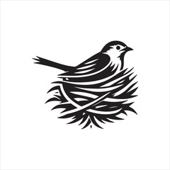 bird on white background