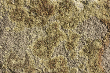 Close up of Historic Headstone in Rural East TX Cemetery