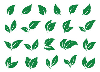 set green leaves icons with branches and twigs