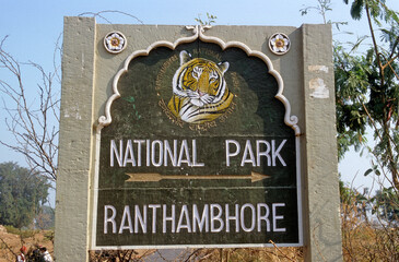Tigre, Panthera tigris, Parc national de Ranthambore, Rajastan, Inde