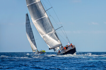 Sailing yachts regatta. Yachting. Sailing race Australia
