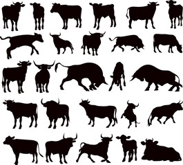 silhouette of cow, bulls, calves set on white background, vector