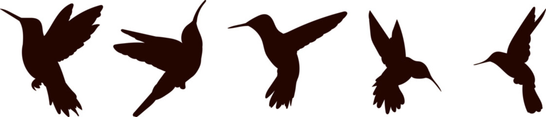 silhouette of a hummingbird bird on a white background, vector