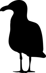 seagull silhouette on white background, vector