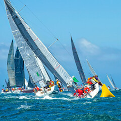 Sailing yachts regatta. Yachting. Sailing race Australia