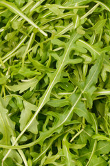 A close-up shot of fresh, vibrant arugula leaves, showcasing their intricate shapes and textures